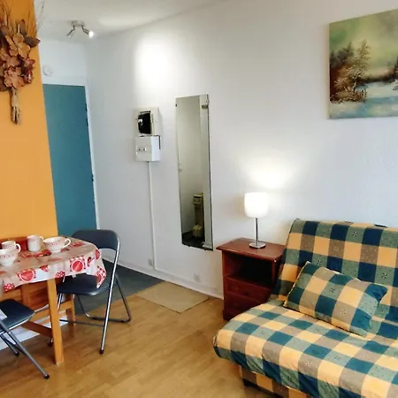 Confortable Pied Des Pistes, Animaux Interdits - Fr-1-771-6