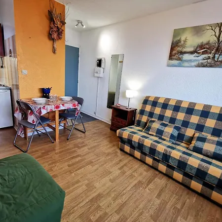Studio Confortable Pied Des Pistes, Animaux Interdits Apartment *